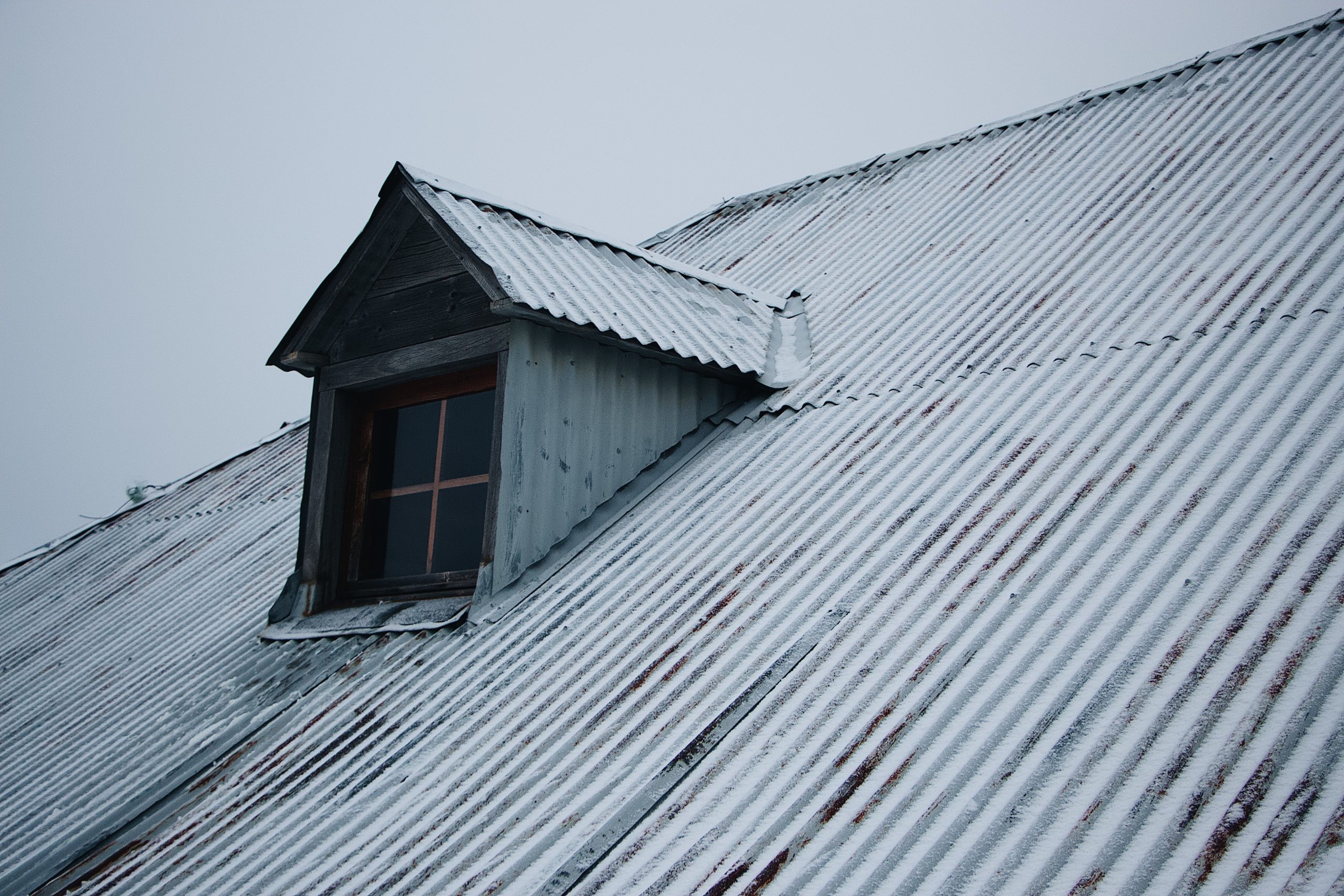 5 Ways termites and other insects can weaken your roof